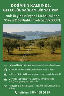 🌿 Doğanın Kalbinde, Geleceğe Sağlam Bir Yatırım!