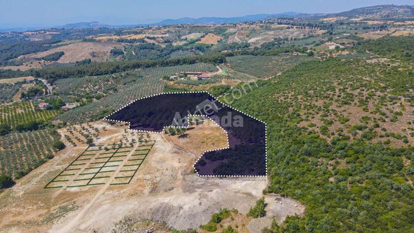 Caferli Köyü'nde Full Deniz Manzaralı Yatırımlık Arazi