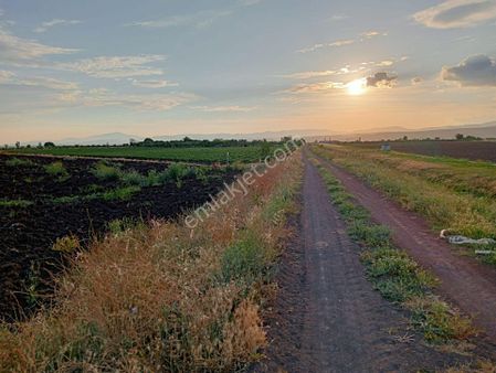 Göçbeylide Verimli Tarım Arazisi