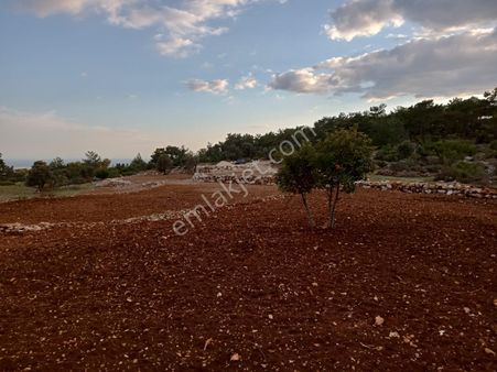 Arve'den Silifke İmamlı'da Muhteşem Konumda 7 Dönüm Tarla