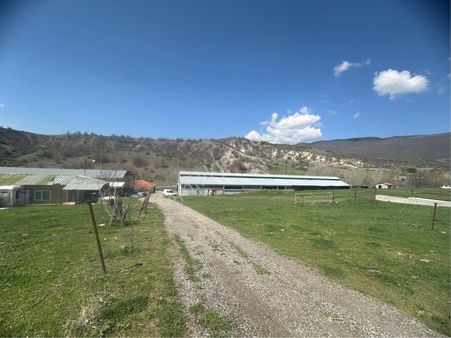 Kızılcaham'da Son Sistem Kurulu 400 Başlık Acil Satılık Çiftlik