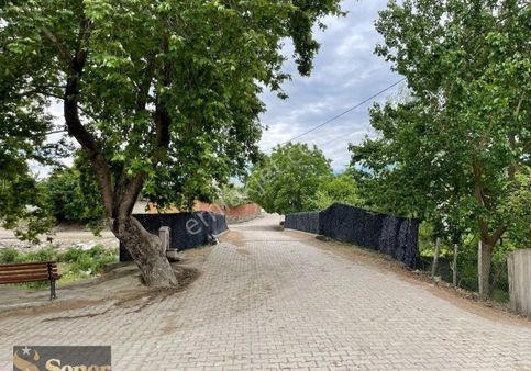 Şener Gayrimenkul Den Yerleşim Yeri Kenarında Komple Yol Cepheli Hobby Bahçesi
