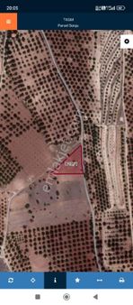 Cumhuriyet Örnek Köyde, Acil Satlık İyi Bir Lokasyonda Tarla