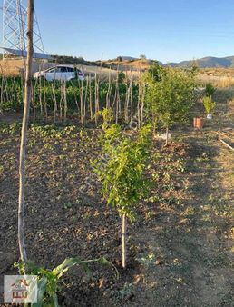 Satılık Hobi Bahçesi