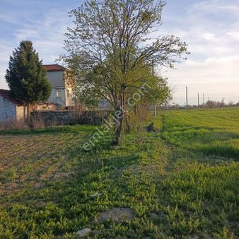 19 Dönüm Arazı Asfalta 500 Metre