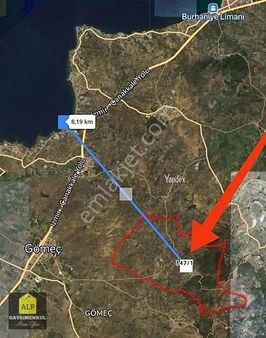 Alp Gayrimenkul'den Gömeçde Tek Tapu 1663 M2 Zeytinlik