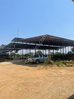 Şahin Gayrimenkulden Ödemiş’te Satılık Çiftlik