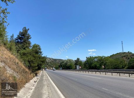 Uğur Gayrimenkulden Kurtulda Bursa-yalova Yoluna Cephe Zeytinlik