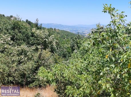 Nilüfer Kadriye 3696 M2 Elektrik Su Var Ana Yola Cephe