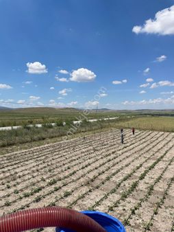 Seyitgazi Örencikte Satılık Tarla