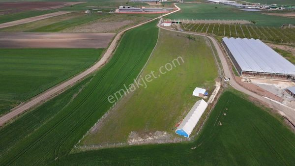 Lüleburgaz Ovacık Köyünde Kurulu Çiftlik 19 Dönüm Satılık Tarla