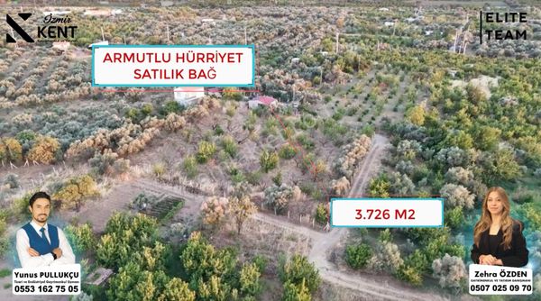Armutlu Hürriyet Satılık 3.726 M2 Bağ Ev Elektrik Su