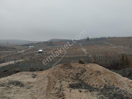 Güvenay - Çorum Büget Baraj Manzaralı Acil Satılık Hobi Bahçeleri