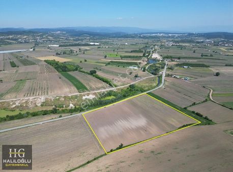 Söğütlü Halitmolla Cad. Asfalta Cephe Altyapıları Mevcut 14880m2