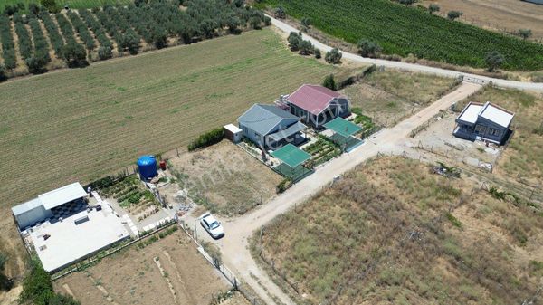 İzmir Kemalpaşa’da 303 M² Parseller – Hemen Teslim