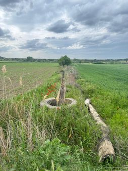 Malkara Karaidemir'de 6756 M² Sulamaya Elverişli Verimli Tarla – Ova İçinde