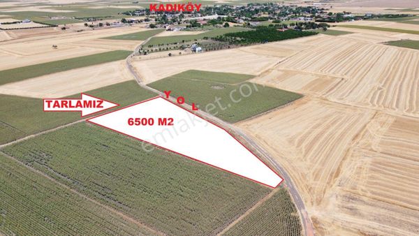 Tekirdağ Saray Kadıköy De Satılık 6501 M2 Tarla