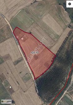 Altın Emlak Vadi'den Tekirdağ Kapaklıda İmar Çizgisi Yanı Tarla