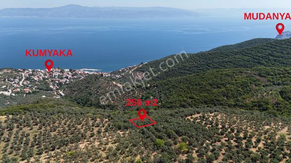 Mudanya Kumyaka Da Deniz Manzaralı Yatırımlık Fırsat Arazi​