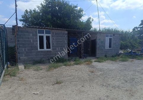 Egemen Köyünde Satılık Arazi