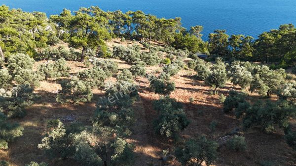 Muğla Akyaka Akbük'te Muhteşem Manzarası İle Satılık Arsa