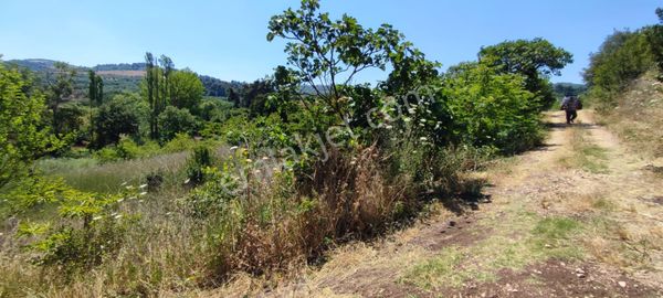Milyarder Gayrimenkulden Bursa Osmangazi Dürdane Mahallesi – Satılık Tarla