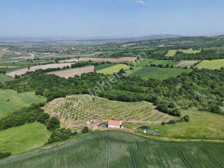 Era Sözden Balıkesir Gönen Bayramiç Mh Satılık Ceviz Bahçesi