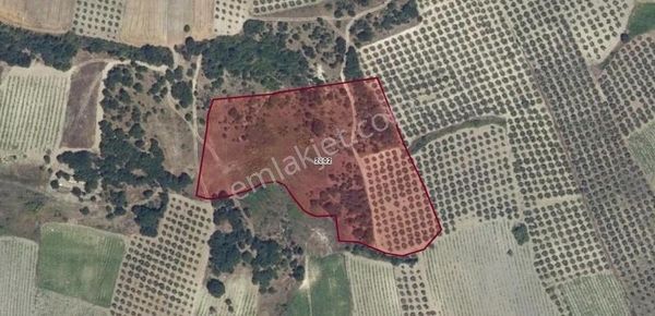 Karakaş Bey Gayrımenkulden Fırsat Arazi