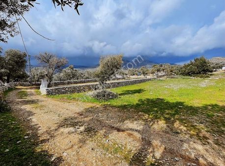 Milas Çökertme'de Satılık Tiny House Yaşama Hazır Müstakil Tarla