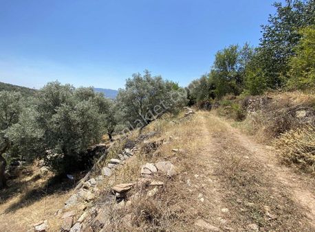 Milas Karapınar'da Satılık - Kat Karşılığı Köyiçi İmarlı Arsalar