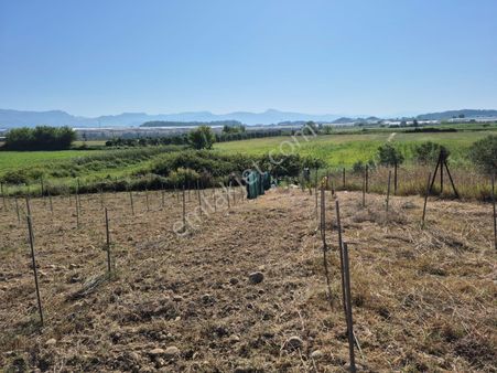 Yeni Köy De Satılık 2870m2 Müstakil Bahçe