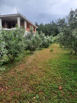 Kaş Kınık'ta Satılık Arazi