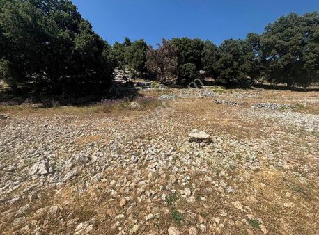 Antalya Demre Belörende Satılık 814 M² Tarla