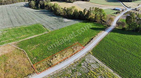 Efendi'den Bolu Göynük Kılavuzlarda Asfalt Yola Cephe Tarla