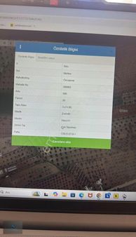 Kilis Akpınar Civarı Satılık Bakımlı Zeytinlik 2.660m2