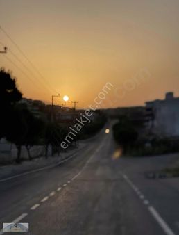 Denıze Sıfır 25 Donum