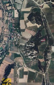 Bolu Mudurnu Çepni Köyünde 1.175 Metrekare Satılık Tarla