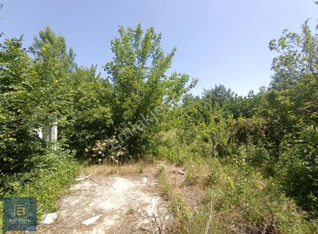 Beynil'den Bursa Osmangazi İsmetiye'de 1056 M2 Satılık Tarla