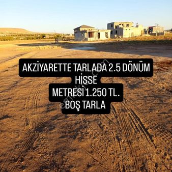 Akziyarette 2.5 Dönüm Tarla