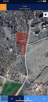 Karaağaç Artur'a Komşu Arsalar