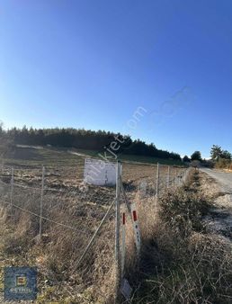 Beynil'den Orhaneli Serçeler'de 22 Dönüm Satılık Tarla