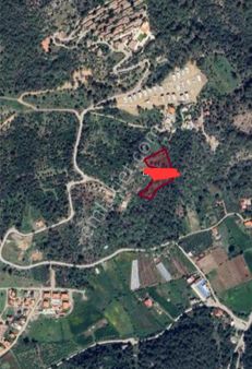 Stop’tan Ortaca Sarıgerme'de Zeytin Ağaçlarıyla Bezeli Huzurlu Bir Yaşam Alanı