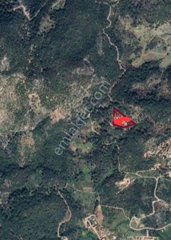 Stop’tan Ortaca Sarıgerme'de 16.000m² Zeytinlik