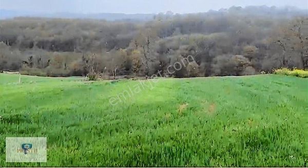 Kandıra Döngelli Köyünde 2690 Metrekare İki Cepheden Yol Mevcut.