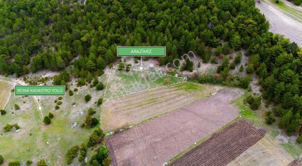 İster Tarım,ister Yatırım - Çok Amaçlı Arazi Satılık !