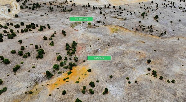 Kredi Kartına Vade Farksız 12 Taksit 210.000 Tl İmkanıyla !