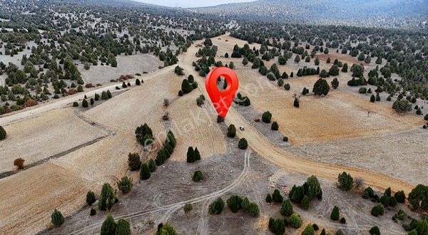 Kredi Kartına 6 Taksit! Kütahya Tepecik Köyünde Yatırım Fırsatı