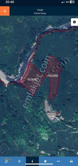 Fatsa - Ilıca Kayaköy Mah. Yol Üzeri 18 Dönüm Acil Satılık Arazi