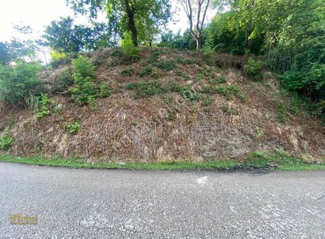 "acil Satılık" Fatsa Yalıköyde 437m² Yola Cepeheli Arsa???