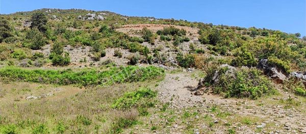 Alanya Güzelbağ Bulgar Da Müstakil Parsel ..